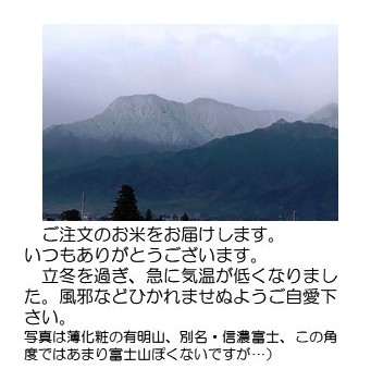 紫式部